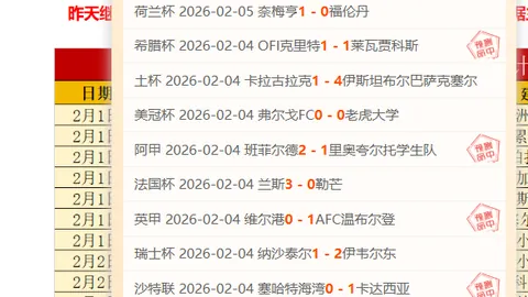 费南多遭犯规点球，马莱莱一蹴而就